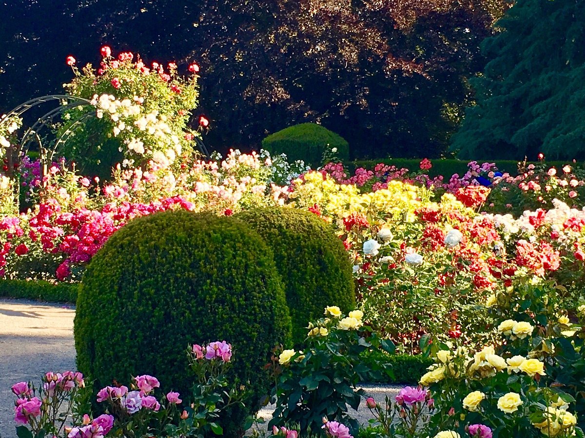 Christchurch Botanic Gardens